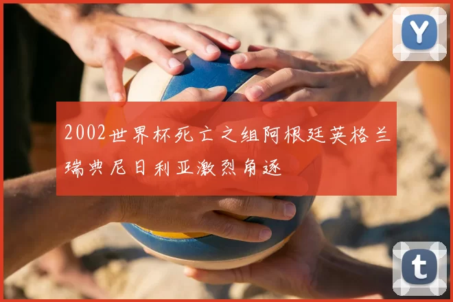 2002世界杯死亡之组阿根廷英格兰瑞典尼日利亚激烈角逐