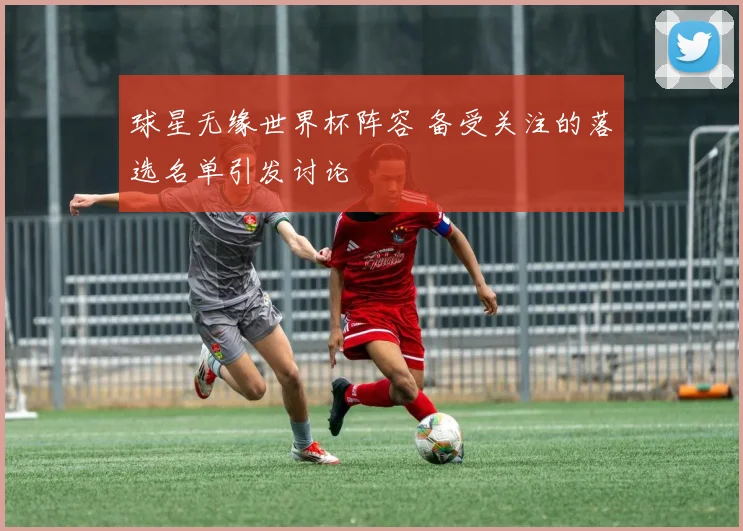 球星无缘世界杯阵容 备受关注的落选名单引发讨论